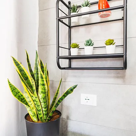 Appartement 7 Posti, A Pochi Minuti Da Venezia, Posto Auto